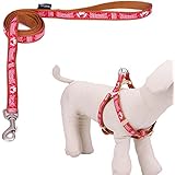 Touchdog Hundeleine Hundegeschirr aus Nylon verstellbar ohne Zugkraft für kleinere und mittelgrößere Hunde
