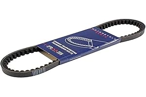 RMS Correa De Transmisión/Correa De Transmisión para Kymco Agility 125 (City, RS, R16), Like, Movie (S/XL), People 125 S, Suoer 8