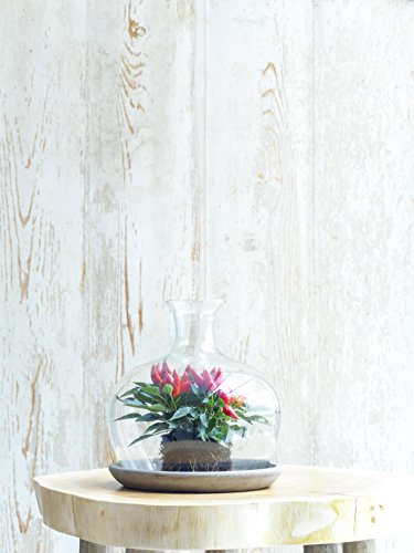 Mica decorations 146856 Monaco Glasglocke mit Teller, Glas, transparent, 23 x 23 x 23 cm - 5