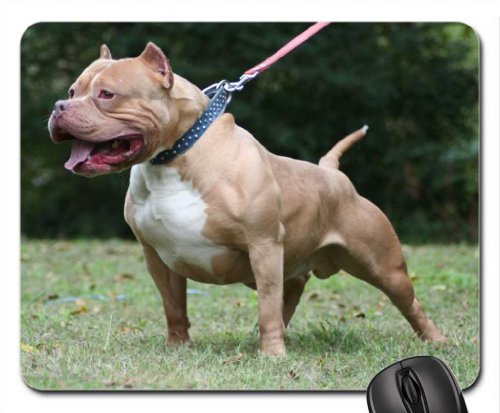 Bully Pitbull Dog Mouse Pad, Mousepad (Dogs Mouse Pad)