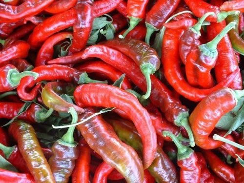 Just Seed - Gemüse - Pfeffer - Sweet Nardello - 20 Samen