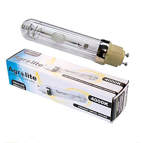 Lampada per Crescita / Fioritura Agrolite CMH / LEC 4000ºK (315W)