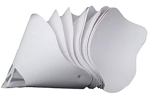 LAANCOO Paint Coating Funnel Mesh Cone Filter Paper Paint Strainers with Fine Filter Tips for 3D Printer Sprayer 10PcsMulti uses Indoor Outdoor Tools