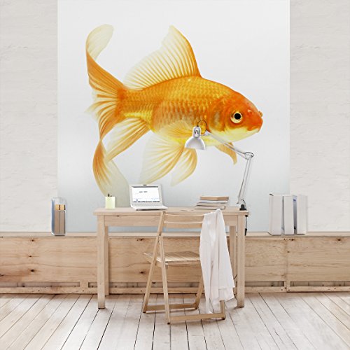 Apalis Kindertapeten Vliestapeten Frau Goldfisch Fototapete Quadrat | Vlies Tapete Wandtapete Wandbild Foto 3D Fototapete für Schlafzimmer Wohnzimmer Küche | Größe: 240x240 cm, gelb, 97669