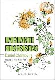 Image de La Plante et ses sens