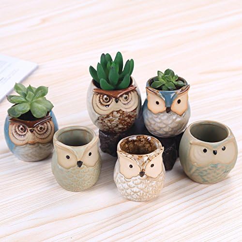 Rczh 6 Pieces 2.5 inch Owl Planter Small Ceramic Owl Succulent Plants Bonsai Pots with Hole - Pack of 6