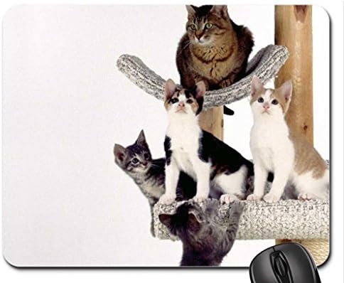 Scratch Post Mouse Pad, Mousepad (Cats Mouse Pad)