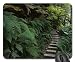 Produktbild TO TARZAN'S HOUSE Mouse Pad, Mousepad (Forests Mouse Pad)