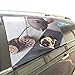 Produktbild Tee Kultur Traditionelle Chinesische Kunst Faltbarer Hund Sicherheit Auto Gedruckt Fenster Zaun Vorhang Barrieren Beschützer Für Baby Kind Einstellbare Flexible Sonnenschutzabdeckung Fit Für Suv