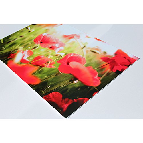 Leichtschaumplatte „Weiß“ selbstklebend – 50x70cm – 5mm stark - 9