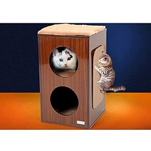 HTZ Cat's Climbing Frame Buco di Gatto Giocattoli per Gatti Doppio Foro Rotondo Letto Cat Legno Cioccolato Pet Letto Cat…