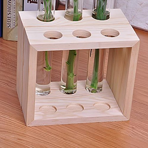 Gazechimp Kristall Glas Vase Halterung Blumen Vase mit Reagenzglasständer Holz Tisch Haus Dekoration - 6