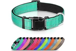 Joytale Collar Perro Reflectante,Nylon Collar Acolchado con Neopreno,Ajustable para Perros Mediano,35-50cm,Verde Azulado