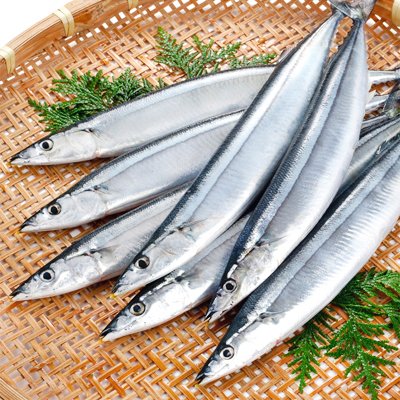 ★どさんこファクトリー北海道 【サンマ 北海道産 獲れたて】根室 釧路 【大、浜呼び名】日帰りトロ さんま 2kg前後 13尾前後
