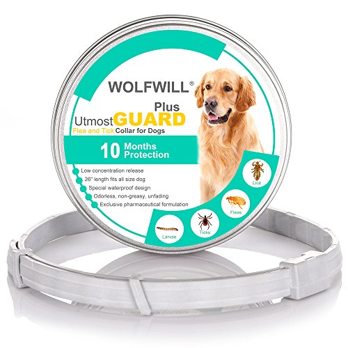 WOLFWILL 2018 Plus Dog Antiparasitic Collars - 66cm Flea and Tick Collars for Small Medium Large Dogs (10 Month Protection & Prevention)