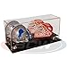 Produktbild BCW Acrylic Double Mini Helmet Holder with Mirror