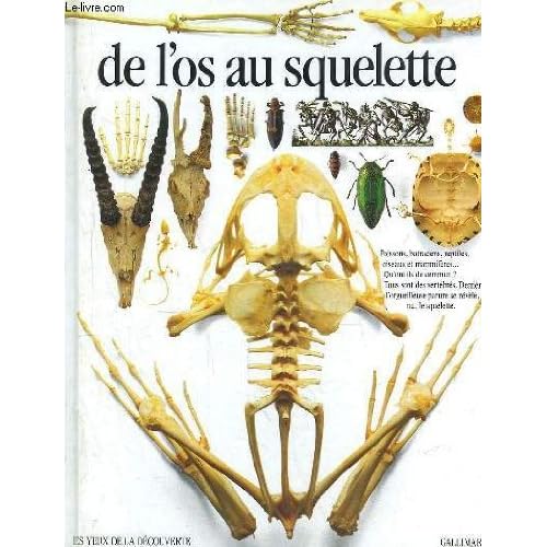 De l'os au squelette De l'os au squelette
