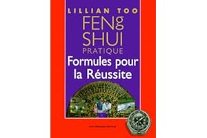 Feng shui pratique - formules pour la reussite