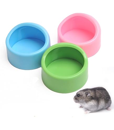 8 stuks kuifgekko voerbak, waterbak, herbruikbaar, kleine reptielen voerbak, gekko tank accessoires, siliconen, gemakkelijk schoon te maken voor heremietkreeft,Klein Reptielvoedsel en Waterkom