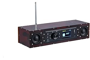 AOVOTO ALK103 Radio FM/DAB Kit fai da te (fai da te) con guscio in acrilico, set DAB+/FM fai-da-te con modalità sveglia e display TFT e cassa di risonanza stereo (marrone)