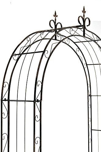 CLP Rosenbogen SUN Eisen pulverbeschichtet ( Metall ) Breite 160, Tiefe 35 cm, Höhe 260 cm bronze - 4