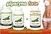 Produktbild 2+1 GRATIS (360 Kapseln) Piperine Piperin Piperyna Forte 95% 20mg