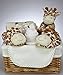 Unisex Baby Boy Girl Cute Giraffe Hamper Gift Basket Baby Shower Present