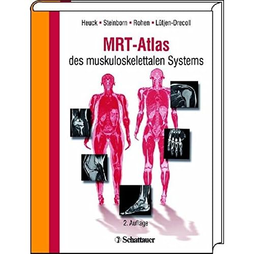 Pdf Mrt Atlas Des Muskuloskelettalen Systems Kostenlos Download Wissenschaftsbuch182
