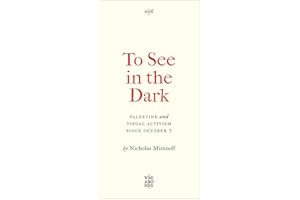 To See In the Dark: Palestine and Visual Activism Since October 7