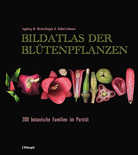 Download Bildatlas der Blütenpflanzen: 200 botanische Familien im Porträt Download Bildatlas der Blütenpflanzen: 200 botanische Familien im Porträt