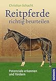 Image de Reitpferde richtig beurteilen: Potenziale erkennen, Talente fördern