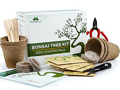 Urban Sprout Kit Arbre de Bonsaï Faites grandir votre propre arbre Bonsaï à partir de graines - Cet ensemble cadeau comprend 5 variétés d'arbres à planter - Croissance en intérieur en suivant les instructions étape par étape incluses