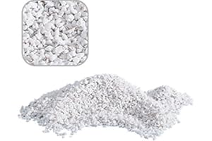 AMTRA Aquaristikwelt24 20 kg de gravier de quartz blanc pour aquarium Grains de 2-3 mm