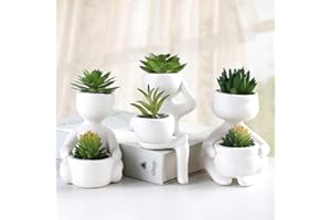 ODIWEN 3Pcs Plantas Suculentas Artificiales, Planta Artificial Decorativa, Pequeñas Plantas Artificiales, Plantas Decoración Suculentas, Mini Plantas Falsas de Plástico, Plantas Artificiales Pequeñas