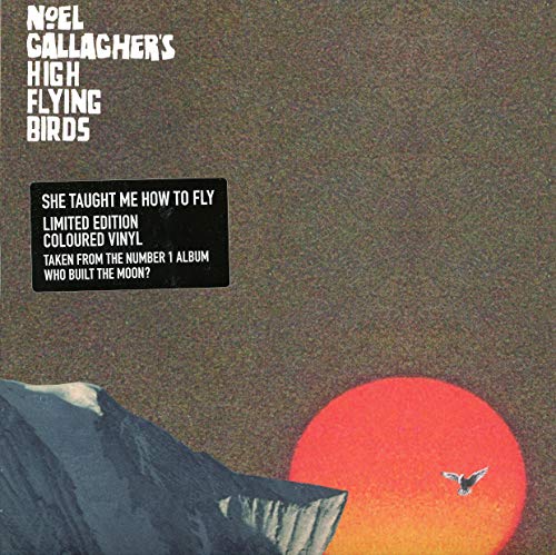 She Taught Me How To Fly [Vinilo]