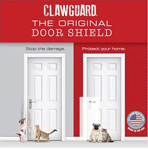 cat scratching screen door