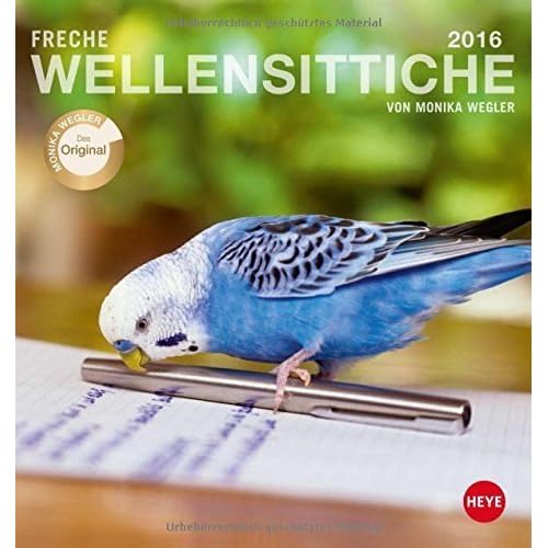 Freche Wellensittiche 2016. Postkartenkalender (2015-06-01)