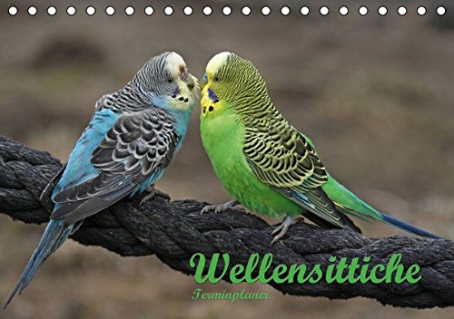 Download Terminplaner Wellensittiche (Tischkalender 2016 DIN A5 quer)