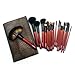 Luxury 21 PCS Professional Makeup Brush Tools Sets / Kits Natural Cosmetic Animal Hair Brushes with Pouch and Bag (21 pcs, Coffee)