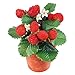 Produktbild DekoWoerner Erdbeerpflanze im Topf 18cm