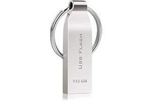 Locpof USB Stick 512GB Metall USB-Sticks mit Schlüsselring USB Sticks 512GB USB Speicherstick USB Große Kapazität Wasserdicht Flash Drive USB-Flash-Laufwerk für PC, Laptop, Computer, Tablet
