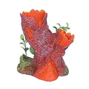 AQUAPETZWORLD Hollow Tree Trunk Aquarium Tree Stump Branch for Reptile Habitat Ornament Decoration for Fish Tank(12 x 9 x13 cm)