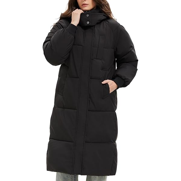 JDY JDYWONDER HOOD PUFFER - Veste d'hiver - moonbeam/écru