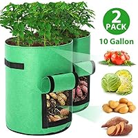 Bolsas para plantas | Amazon.es