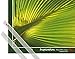 Produktbild 1art1 Poster + Hanger: Palmen Mini-Poster (50x40 cm) Hanf-Palmenblatt Inklusive EIN Paar Posterleisten, Transparent