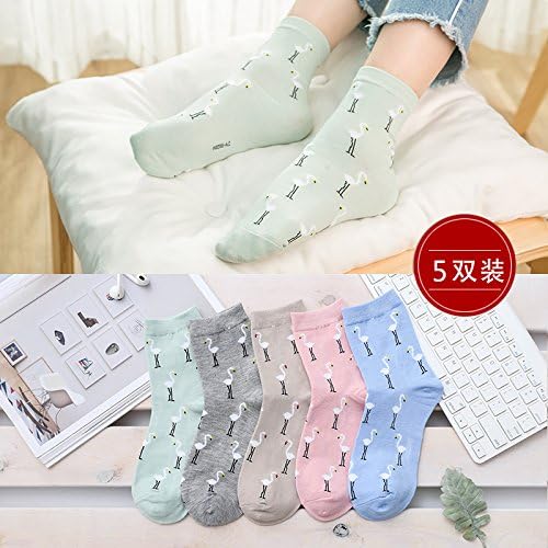 VIG socks 5 pairs of socks girls in the tube socks College wind women socks cotton socks autumn stockings exercise, 252