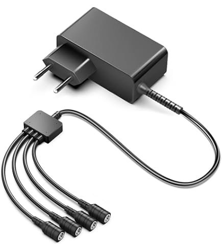 Adaptateur Secteur 24V Pour Ruban LED Philips Hue – Entrée 100-240V, Câble 110 Cm, Polarité Centre +
