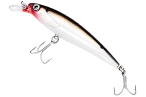 Rapala X-Rap - Señuelo de Pesca de Agua Salada