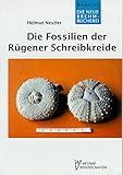 Image de FOSSILIEN D. RÜGENER ... SCHREIBKREIDE