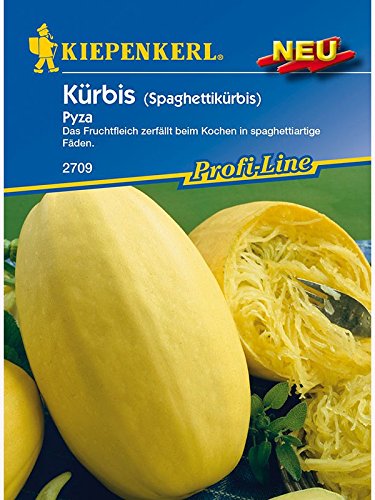 Kürbis Pyza Spaghettikürbis